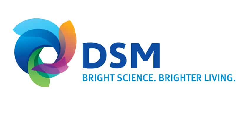 DSM rondt verkoop Engineering Materials af