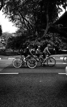 Populariteit fietsen legt Accell geen windeieren