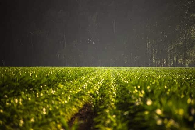 Beroep Bayer bij Roundup-zaak in VS op de helling