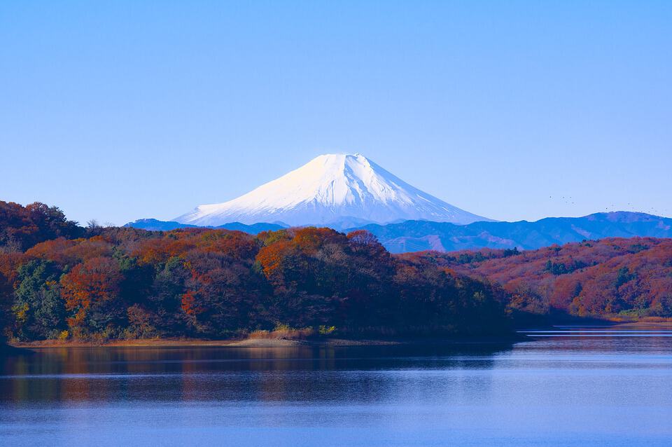 Japans consumentenvertrouwen verder gestegen
