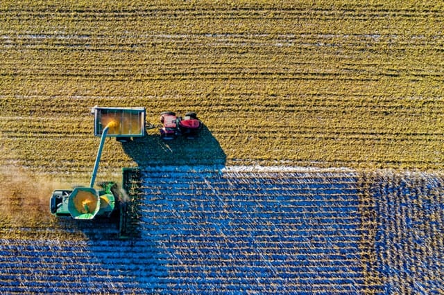 Beursblik: OCI last van lagere stikstofprijzen