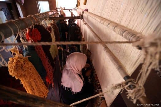 Eigenaar tapijtwinkel: tapijthandel erg belangrijk voor Afghanistan