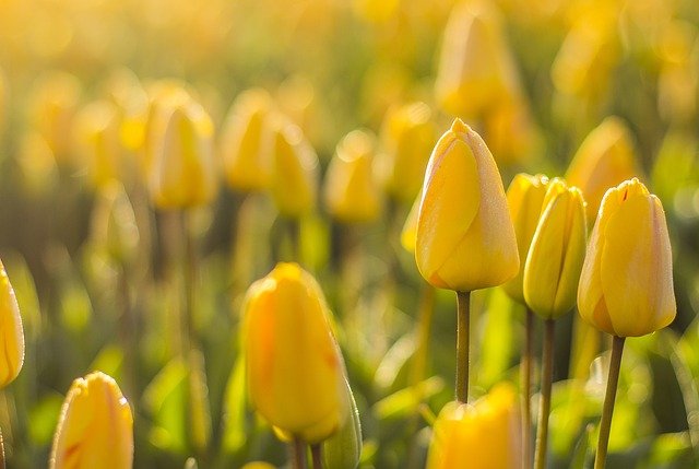 Nederlandse industrie draait naar krimp