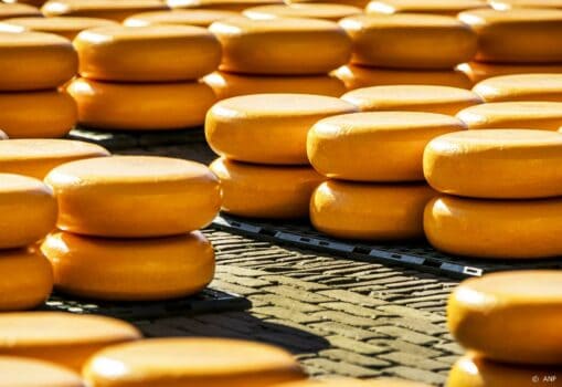 Nederland bij grootste kaas- en boterproducenten Europa