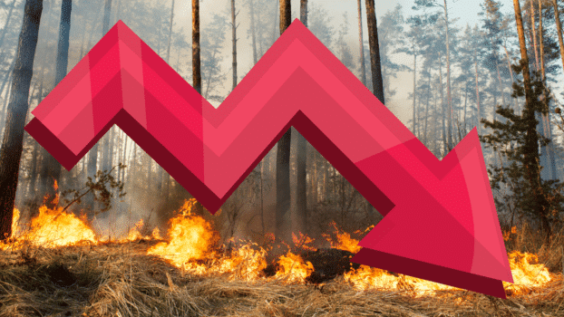Impact nieuwe virusvariant: strovuur of bosbrand?