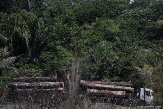 Banken: controle op financiering rondom ontbossing is in orde