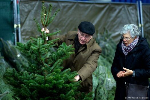 Verkopers: Nederland haalt eerder kerstboom en versiering in huis