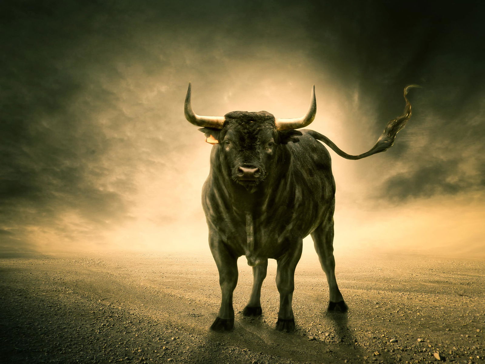 Zal er nog een Bull run plaatsvinden in 2023?